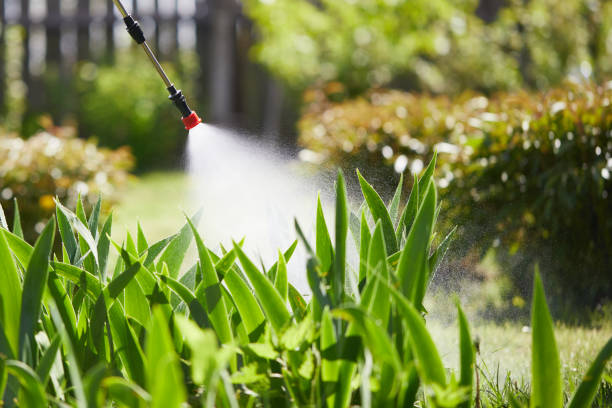 24/7 Emergency Mosquito Control experts in Lindenwold, NJ
